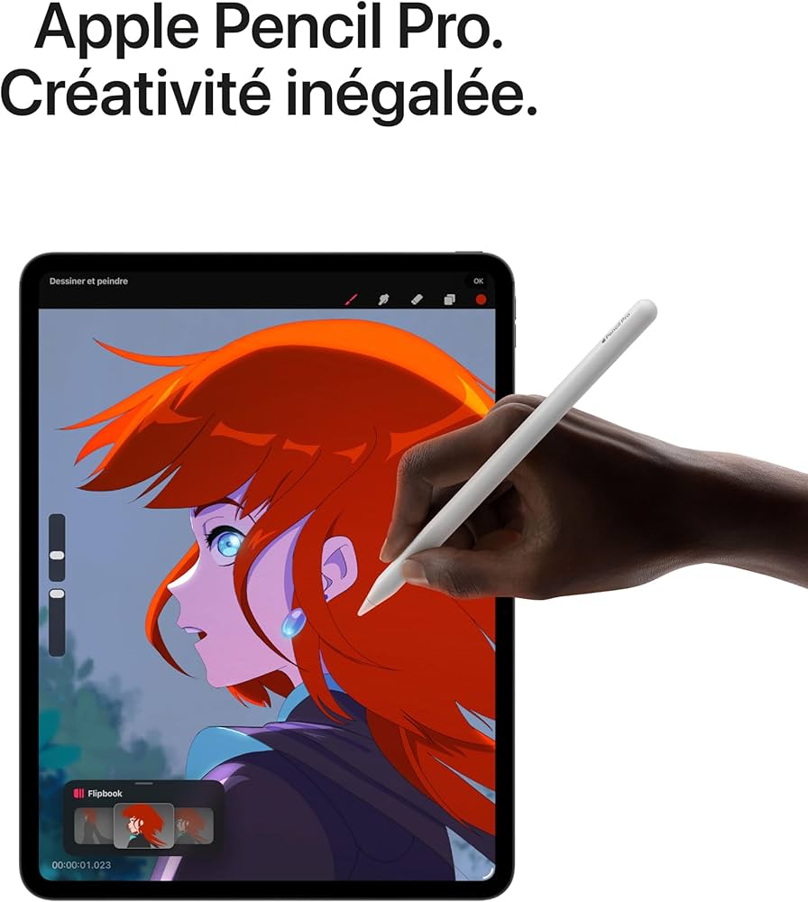 iPad Pro 11 pouces