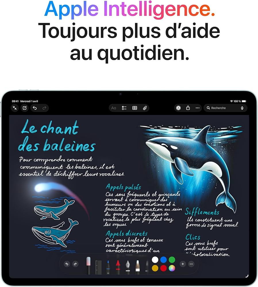 iPad Air 13 pouces